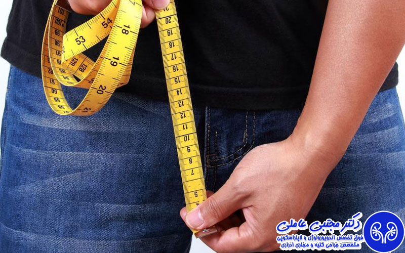 آیا طول آلت تناسلی در رضایت جنسی موثر است