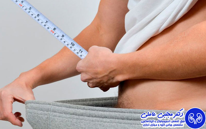 اندازه استاندارد آلت تناسلی مردان