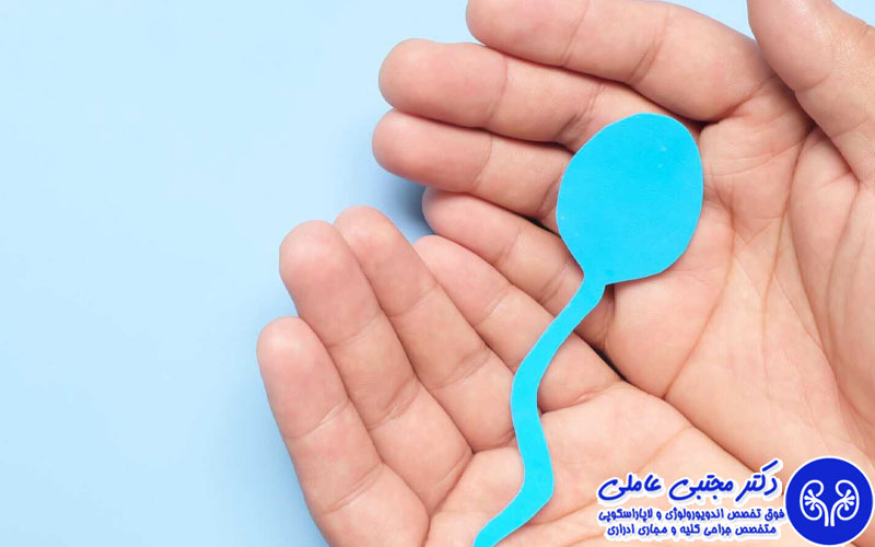 راهکارهای موثر برای افزایش کیفیت اسپرم