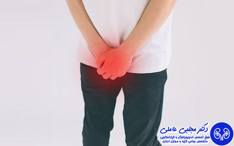 شکستگی آلت تناسلی