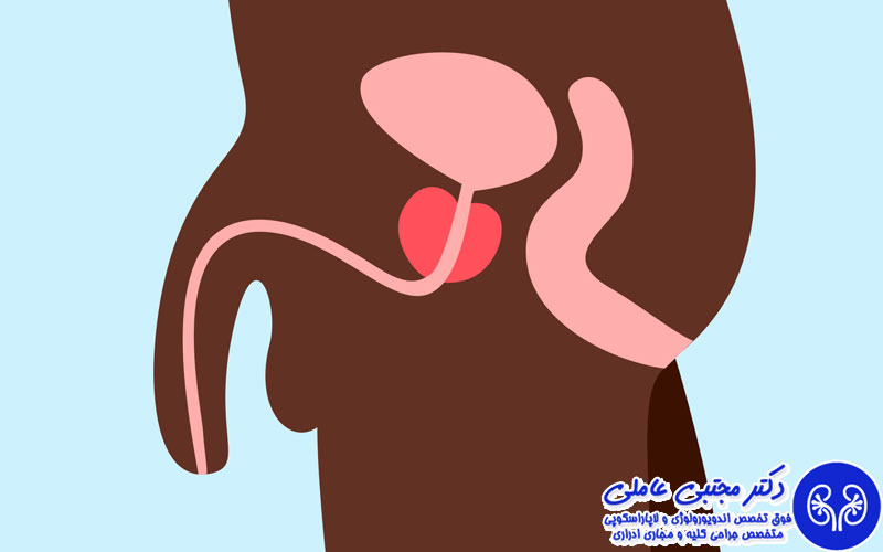 علت خارش بیضه چیست