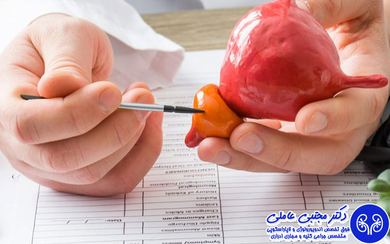 نشانه های یک پروستات سالم چیست