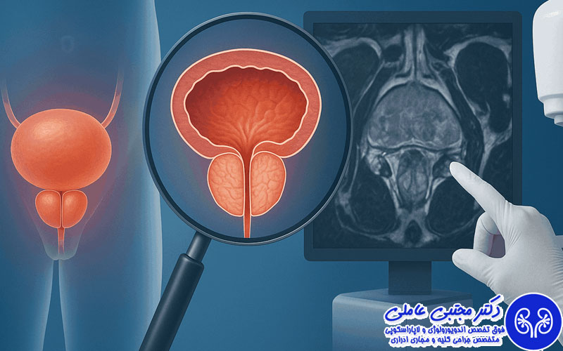 نشانه های یک پروستات سالم چیست